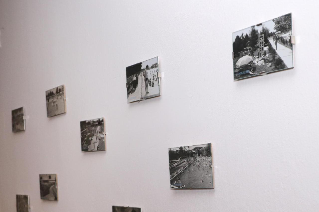 Ubytovanie Viktoria Dunajská Streda エクステリア 写真
